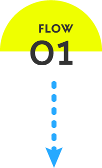 FLOW01